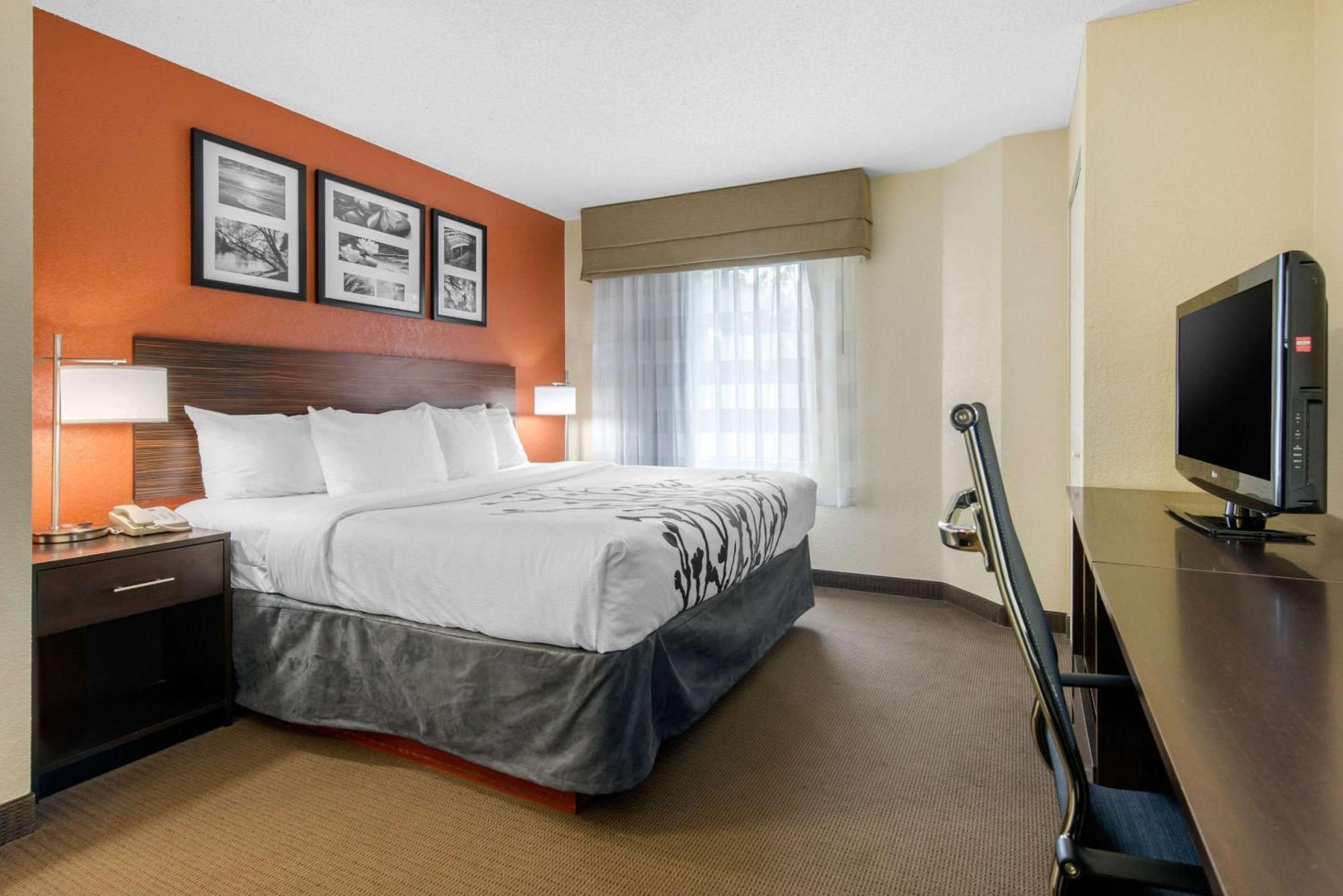 Sleep Inn Sarasota North Ngoại thất bức ảnh