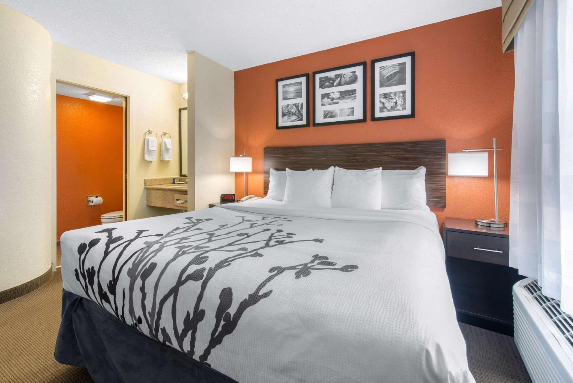 Sleep Inn Sarasota North Ngoại thất bức ảnh