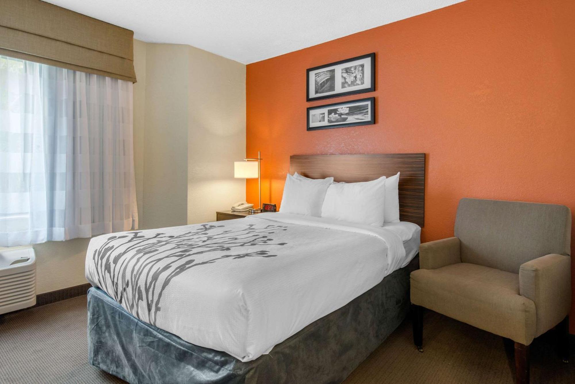Sleep Inn Sarasota North Ngoại thất bức ảnh