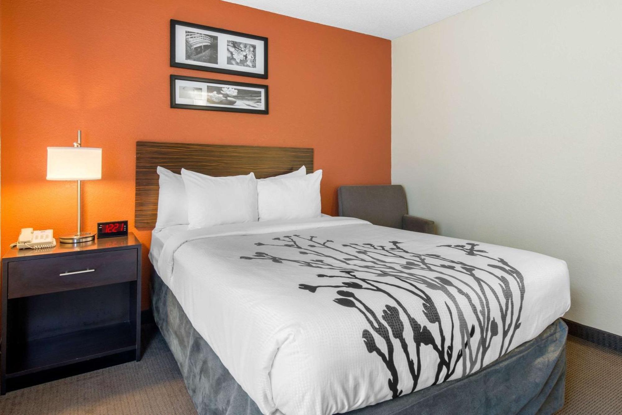 Sleep Inn Sarasota North Ngoại thất bức ảnh