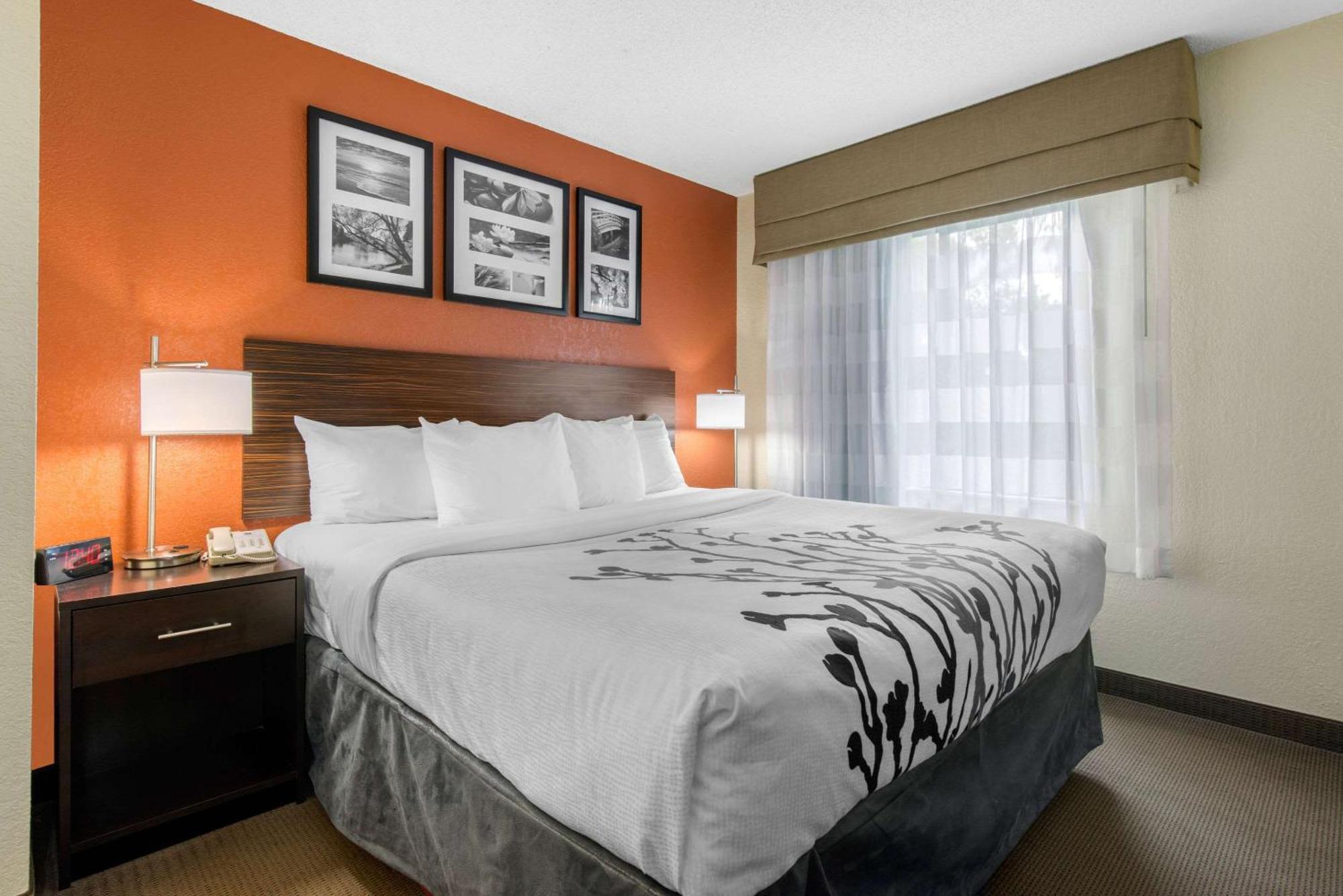 Sleep Inn Sarasota North Ngoại thất bức ảnh
