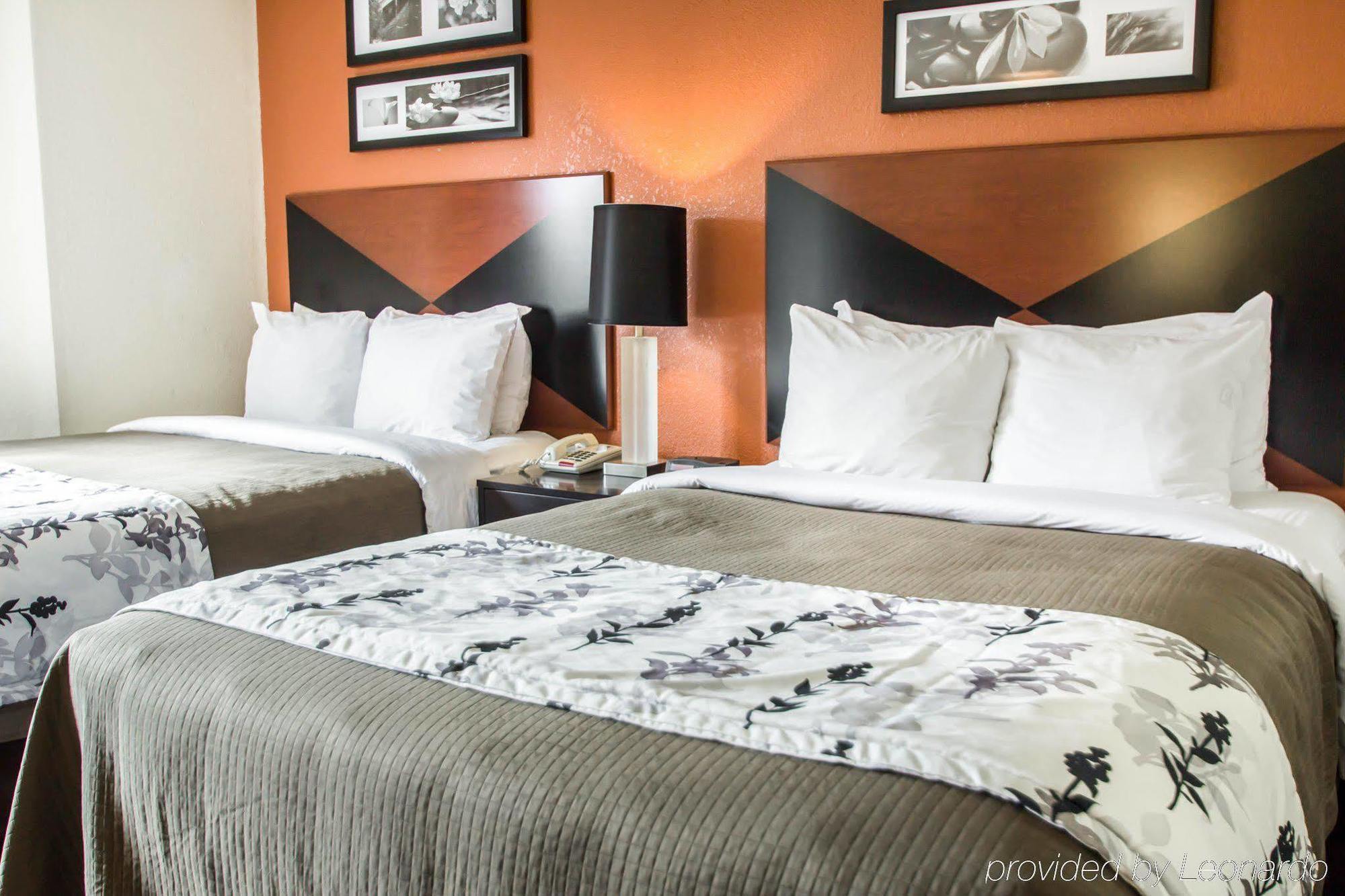 Sleep Inn Sarasota North Ngoại thất bức ảnh