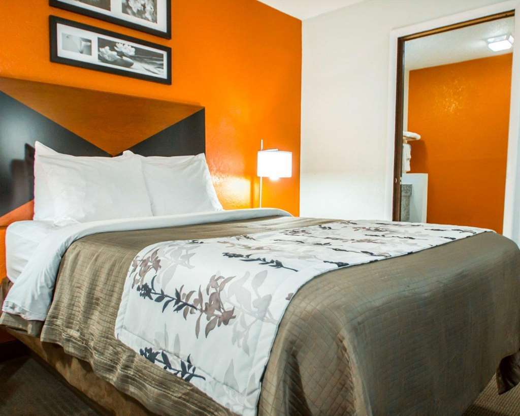 Sleep Inn Sarasota North Phòng bức ảnh